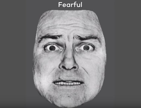 Fearful Image